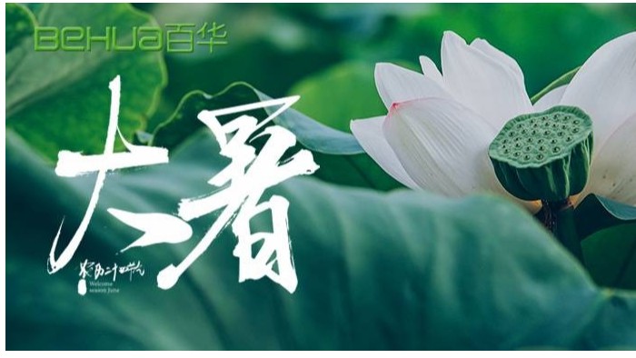 大暑|蟬聲嘹亮，夏意正濃