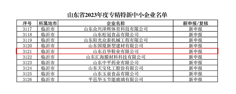 熱烈祝賀百華鞋業通過山東省專精特新企業認定！